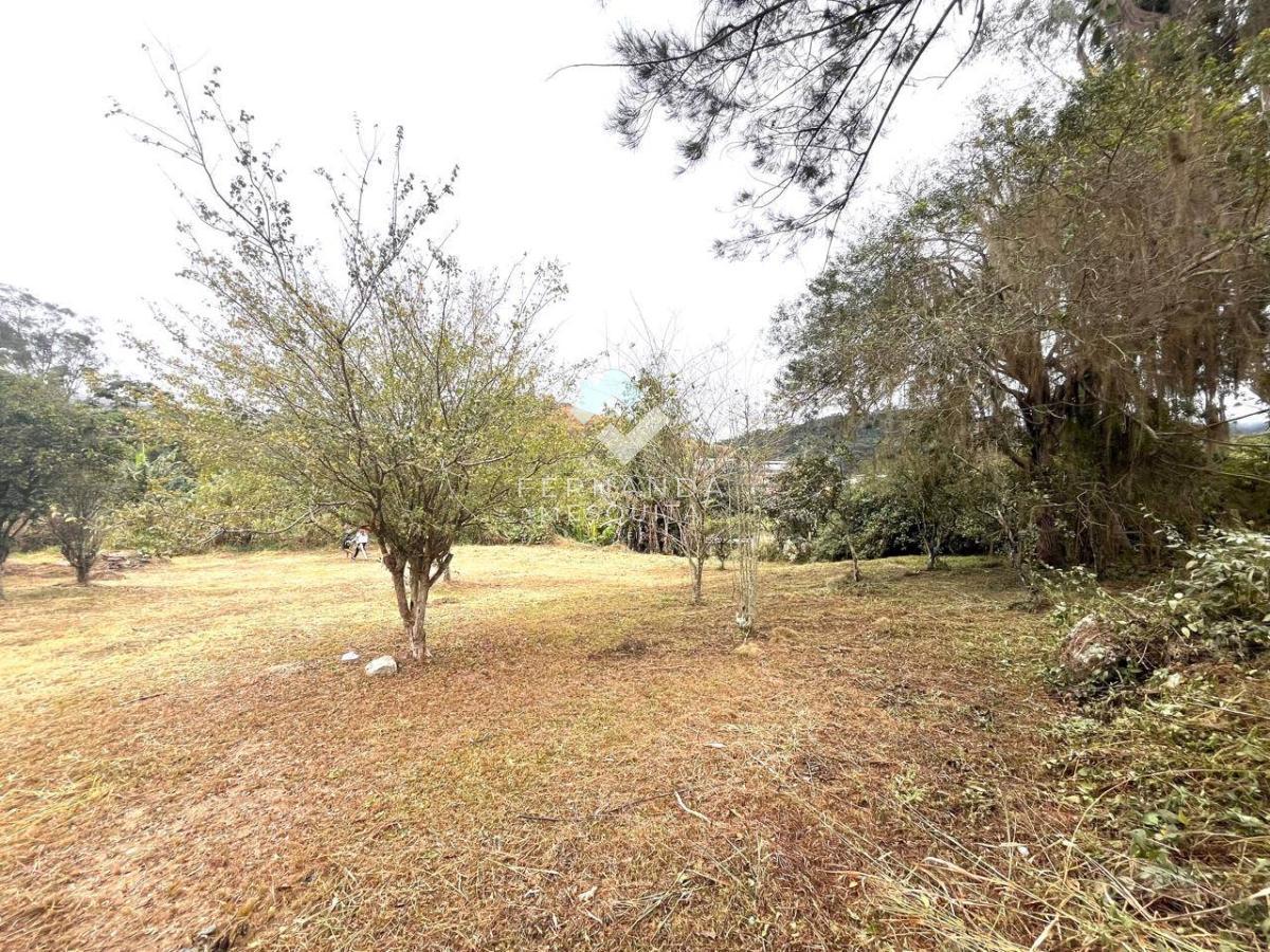 Sítio à venda com 3 quartos, 150m² - Foto 2